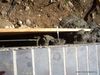ReinforcementWall_(9).JPG